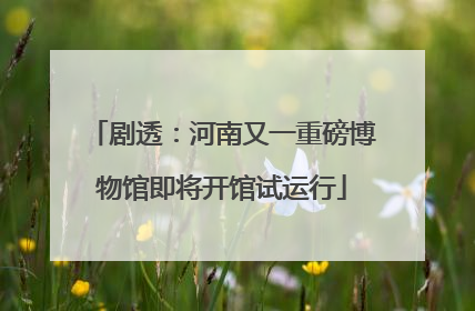 剧透：河南又一重磅博物馆即将开馆试运行