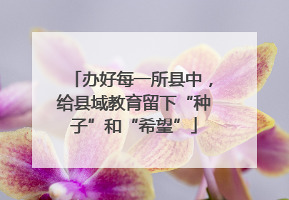 办好每一所县中，给县域教育留下“种子”和“希望”