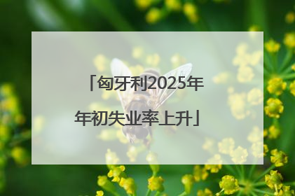 匈牙利2025年年初失业率上升