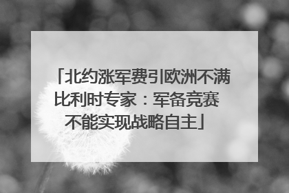 北约涨军费引欧洲不满 比利时专家：军备竞赛不能实现战略自主