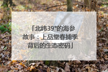 北纬39°的海参故事：上品堂春捕季背后的生态密码