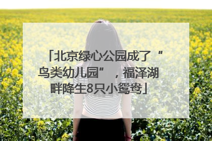 北京绿心公园成了“鸟类幼儿园”，福泽湖畔降生8只小鸳鸯