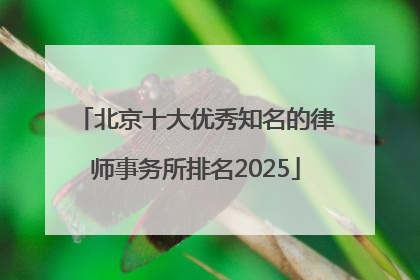北京十大优秀知名的律师事务所排名2025
