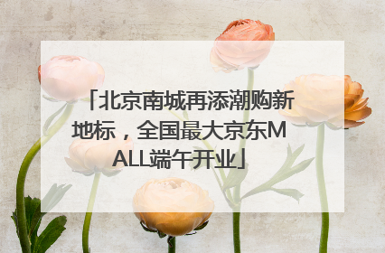 北京南城再添潮购新地标，全国最大京东MALL端午开业