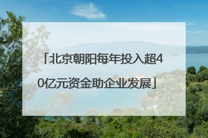 北京朝阳每年投入超40亿元资金助企业发展