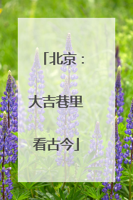 北京：大吉巷里看古今