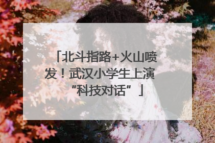 北斗指路+火山喷发！武汉小学生上演“科技对话”