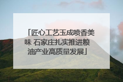 匠心工艺玉成喷香美味 石家庄扎实推进粮油产业高质量发展