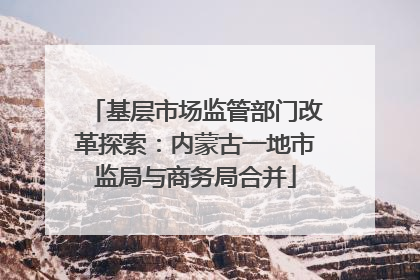基层市场监管部门改革探索：内蒙古一地市监局与商务局合并