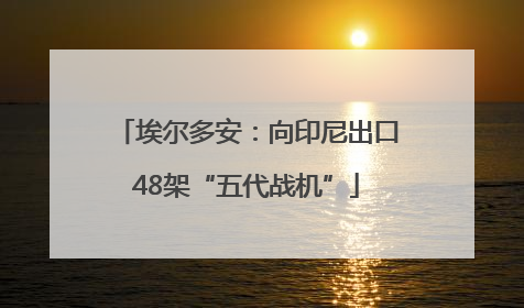 埃尔多安：向印尼出口48架“五代战机”