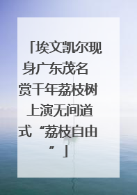埃文凯尔现身广东茂名 赏千年荔枝树 上演无间道式“荔枝自由”