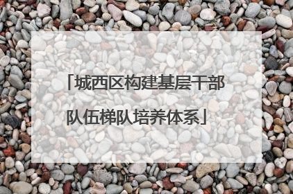 城西区构建基层干部队伍梯队培养体系