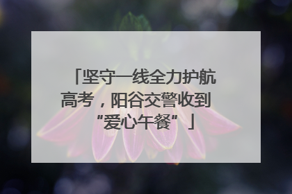 坚守一线全力护航高考，阳谷交警收到“爱心午餐”