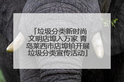 垃圾分类新时尚 文明店埠入万家 青岛莱西市店埠镇开展垃圾分类宣传活动