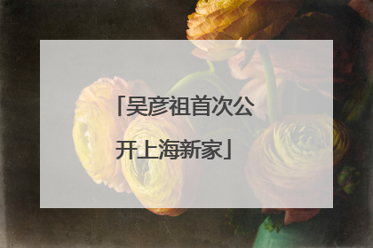 吴彦祖首次公开上海新家