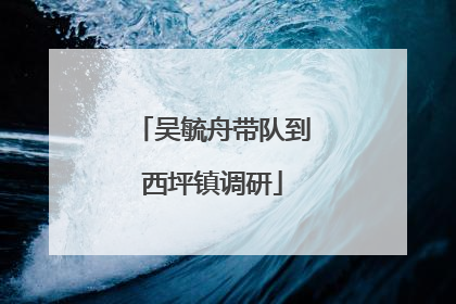 吴毓舟带队到西坪镇调研