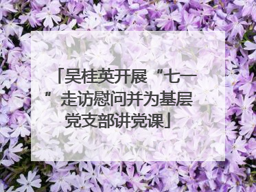 吴桂英开展“七一”走访慰问并为基层党支部讲党课