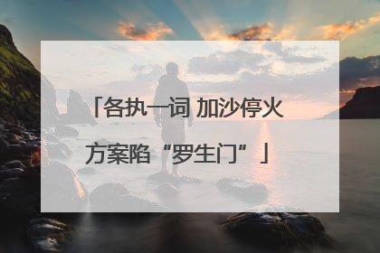 各执一词 加沙停火方案陷“罗生门”