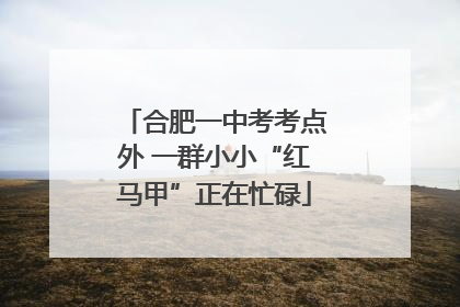 合肥一中考考点外 一群小小“红马甲”正在忙碌