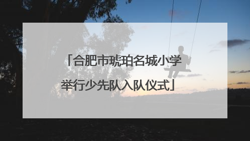 合肥市琥珀名城小学举行少先队入队仪式