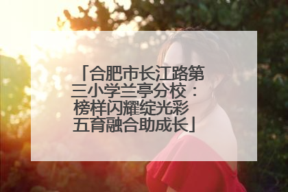 合肥市长江路第三小学兰亭分校：榜样闪耀绽光彩 五育融合助成长