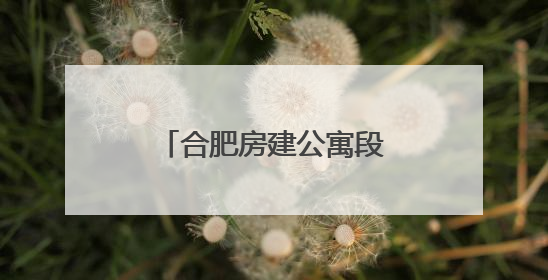合肥房建公寓段开展客站供用电系统故障应急演练