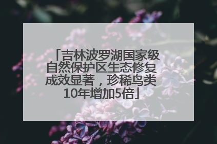 吉林波罗湖国家级自然保护区生态修复成效显著，珍稀鸟类10年增加5倍