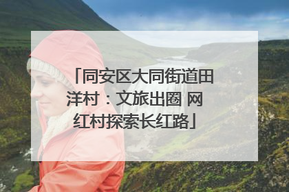 同安区大同街道田洋村：文旅出圈 网红村探索长红路