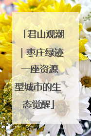 君山观潮｜枣庄绿迹 一座资源型城市的生态觉醒