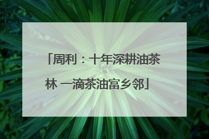 周利：十年深耕油茶林 一滴茶油富乡邻