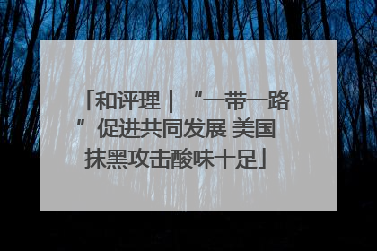 和评理｜“一带一路”促进共同发展 美国抹黑攻击酸味十足