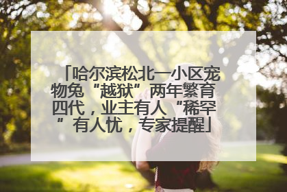 哈尔滨松北一小区宠物兔“越狱”两年繁育四代，业主有人“稀罕”有人忧，专家提醒