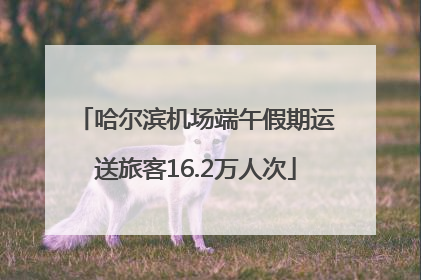哈尔滨机场端午假期运送旅客16.2万人次