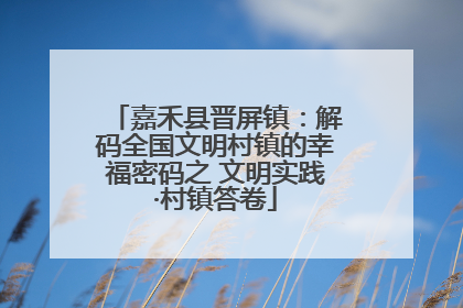 嘉禾县晋屏镇：解码全国文明村镇的幸福密码之 文明实践·村镇答卷