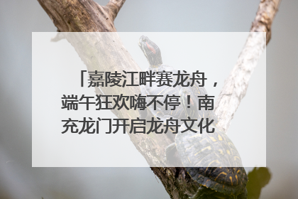 嘉陵江畔赛龙舟，端午狂欢嗨不停！南充龙门开启龙舟文化盛宴｜镜观四川