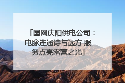 国网庆阳供电公司：电脉连通诗与远方 服务点亮露营之光