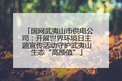 国网武夷山市供电公司：开展世界环境日主题宣传活动守护武夷山生态“高颜值”