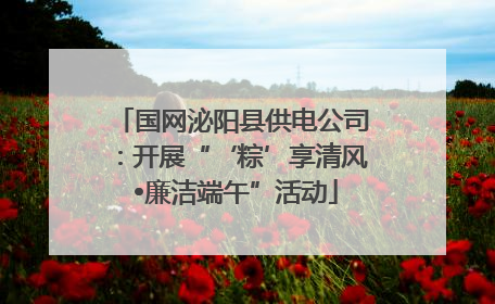 国网泌阳县供电公司：开展“‘粽’享清风 •廉洁端午”活动