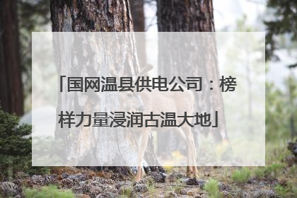 国网温县供电公司：榜样力量浸润古温大地