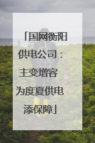 国网衡阳供电公司：主变增容 为度夏供电添保障
