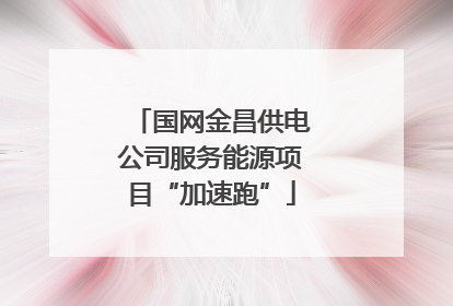 国网金昌供电公司服务能源项目“加速跑”