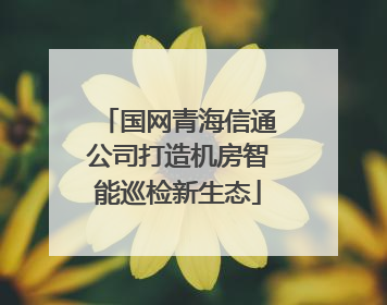 国网青海信通公司打造机房智能巡检新生态