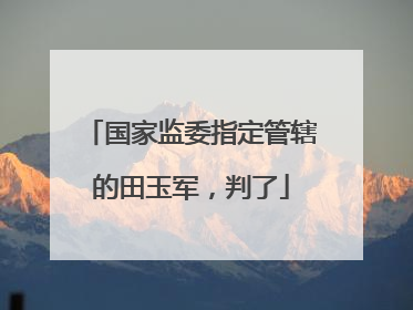 国家监委指定管辖的田玉军，判了