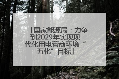 国家能源局：力争到2029年实现现代化用电营商环境“五化”目标