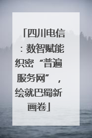 四川电信：数智赋能织密“普遍服务网”，绘就巴蜀新画卷