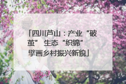四川芦山：产业“破茧” 生态“织锦” 擘画乡村振兴新貌