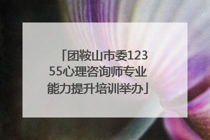 团鞍山市委12355心理咨询师专业能力提升培训举办
