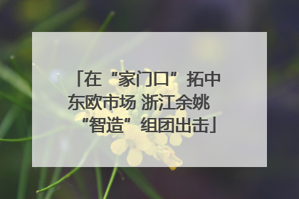 在“家门口”拓中东欧市场 浙江余姚“智造”组团出击