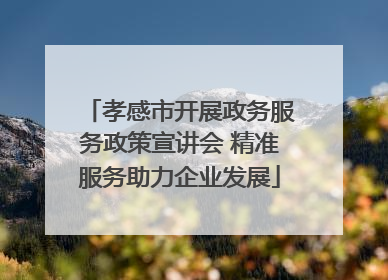 孝感市开展政务服务政策宣讲会 精准服务助力企业发展