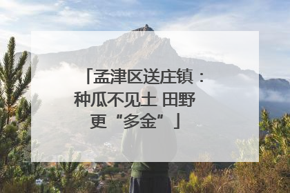 孟津区送庄镇：种瓜不见土 田野更“多金”